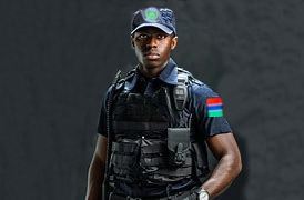 Armed Security Officers