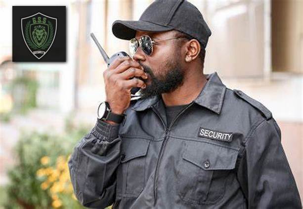 Private Investigators